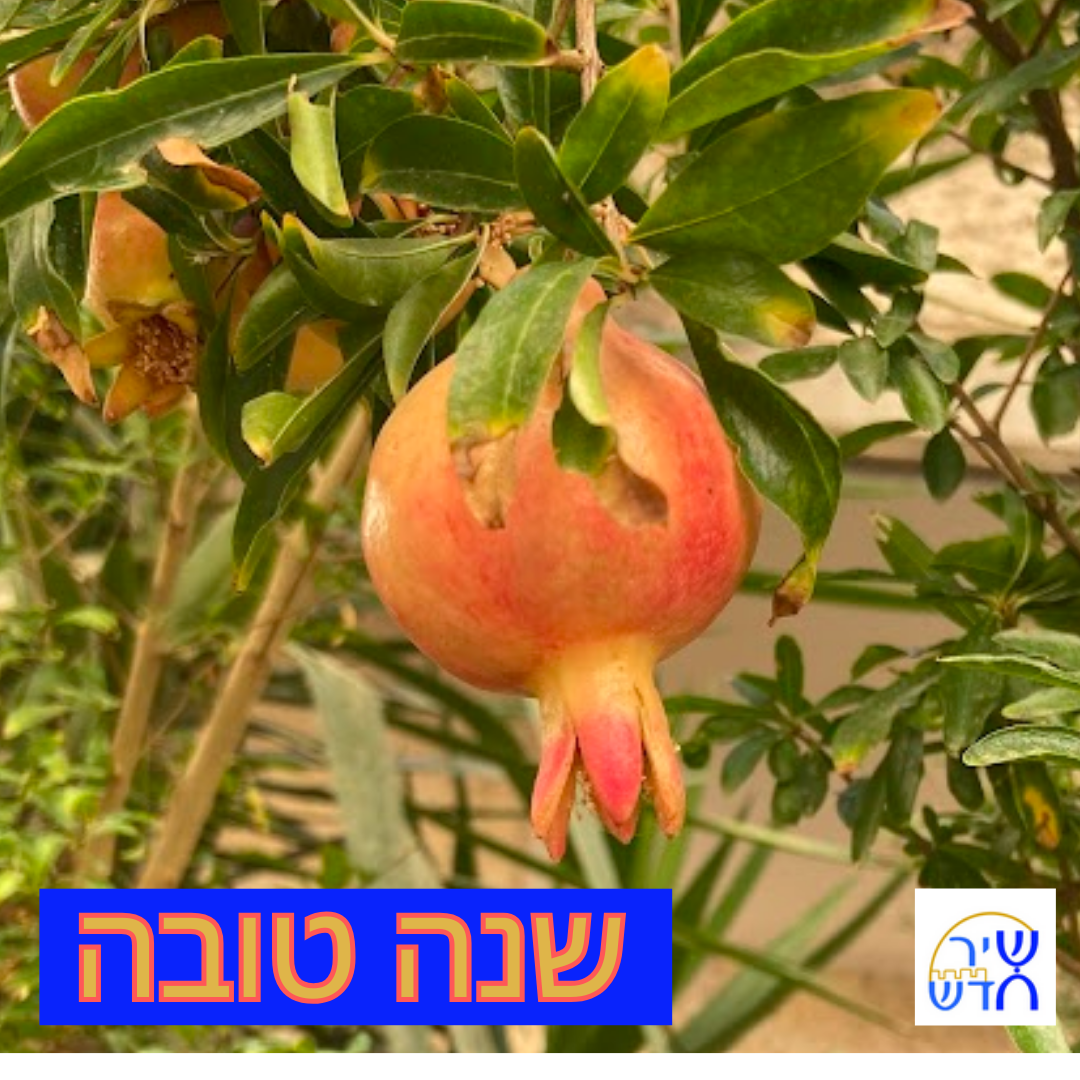 ROSH HASHANA / SHABBAT SHUVA