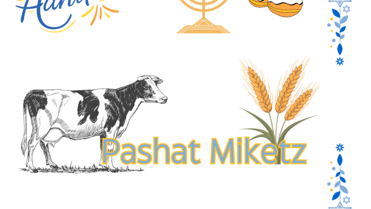 Parshat Miketz/ Shabbat Hanukkah