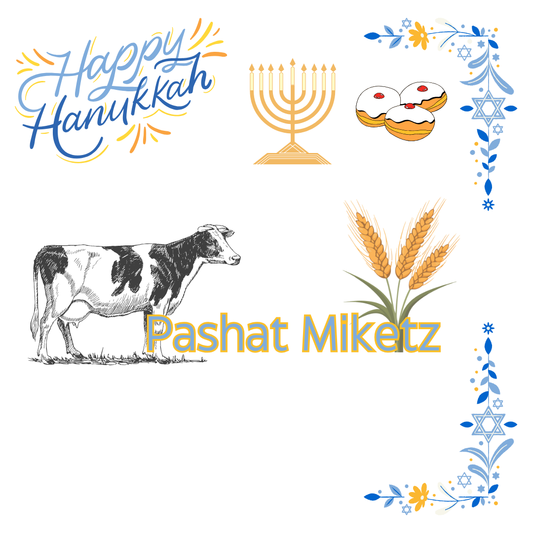 Parshat Miketz/ Shabbat Hanukkah